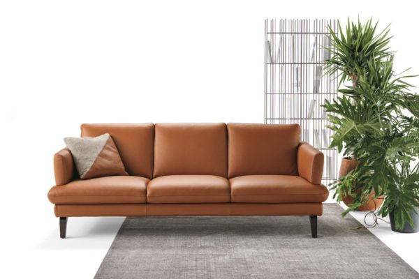 Max Divani Esprit - Image 2