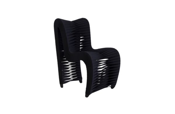Phillips Collection Seatbelt