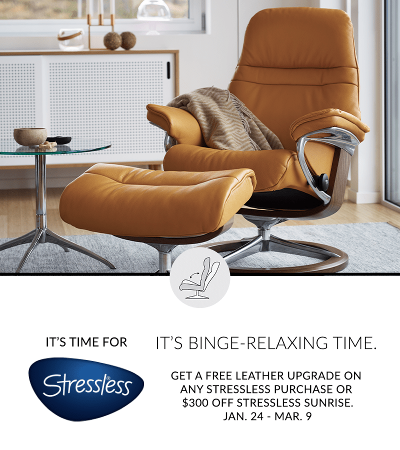 Modern Furniture Store In Raleigh North Carolina
