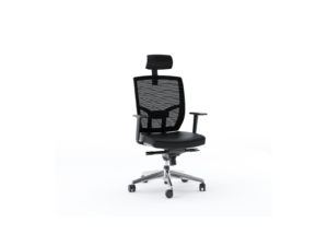 tc-223-office-chair-bdi-223DHL-black-1