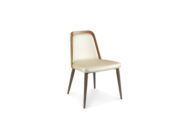 Elite Modern Coco