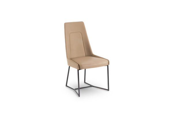 Elite Modern Luxe