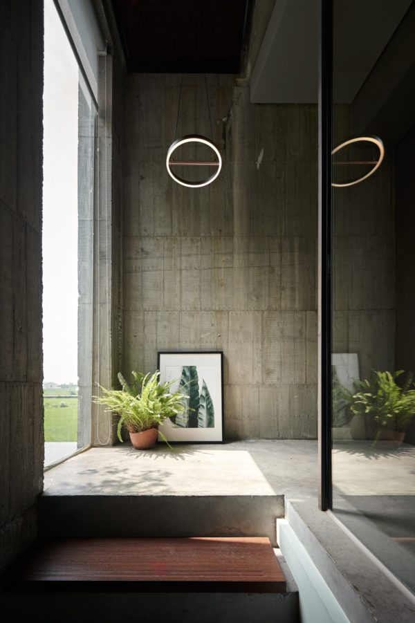 Seed Design Sol Pendant - Image 6
