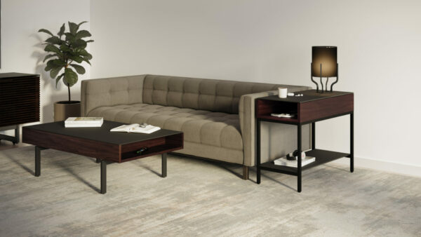 BDI Reveal End Table - Image 6