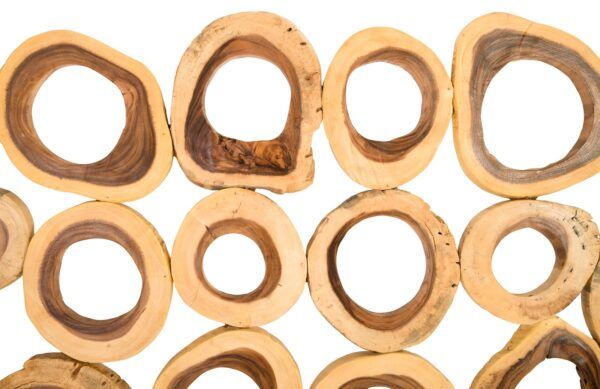 Phillips Collection Chuleta Rings Wall Art - Image 7