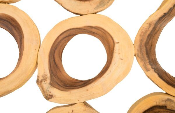 Phillips Collection Chuleta Rings Wall Art - Image 10