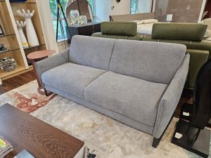 Dien Sleeper Sofa